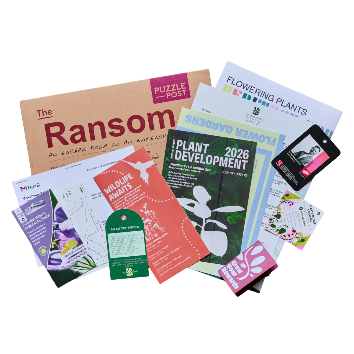 The Ransom